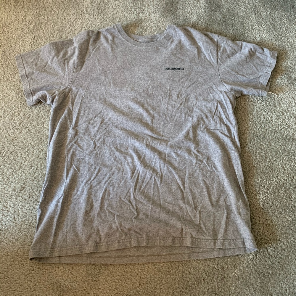Gray Patagonia Tshirt